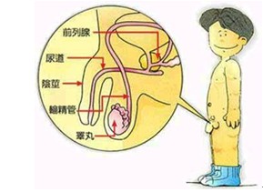 苏州东吴中西医结合医院