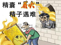 精囊炎是怎样引起男性不育的呢